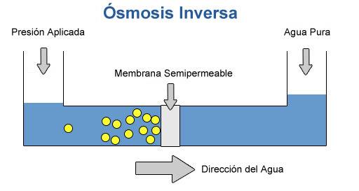 Osmosi